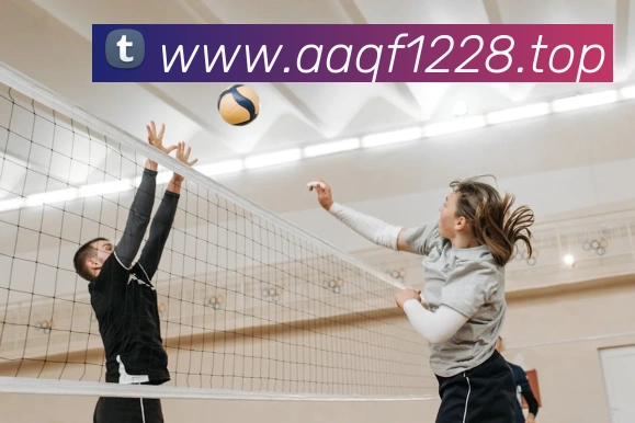 冠竞体育官网平台生态图